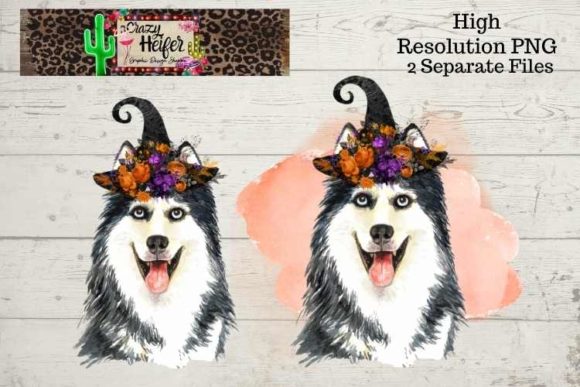 Download Huskie Halloween Witch PNG - Huskie Collection
